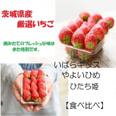 食べ比べ 厳選いちご(品種おまかせ)約260g×2パック(1箱)