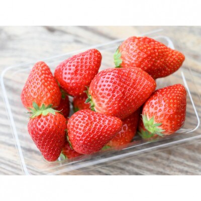 食べ比べ 厳選いちご(品種おまかせ)約260g×2パック(1箱)