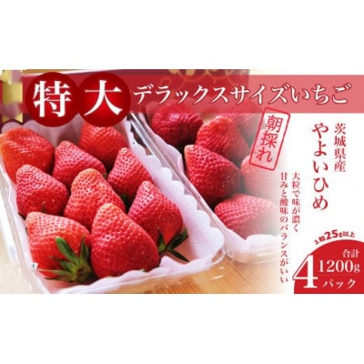 茨城県産　やよいひめ　約300g×4パック(1箱)デラックスサイズ