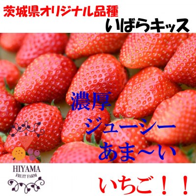 茨城県品種いばらキッス 約260g×2パック(1箱)