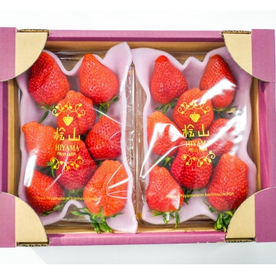 茨城県産　やよいひめ 約300g×2パック(1箱)デラックスサイズ