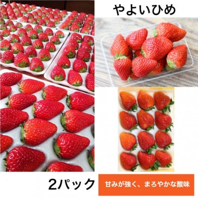 茨城県産　やよいひめ 約300g×2パック(1箱)デラックスサイズ