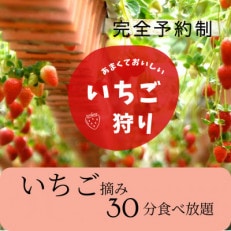 いちご狩り　食べ放題30分　大人1名様