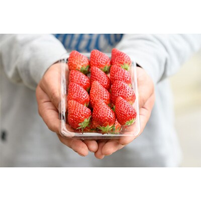 【発送月固定定期便】桧山FRUITFARM 定期コース 2パック　全3回