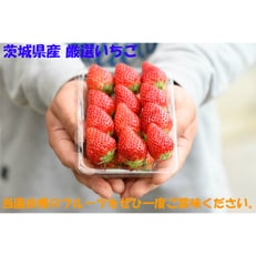 【発送月固定定期便】桧山FRUITFARM 定期コース 4パック&times;全3回