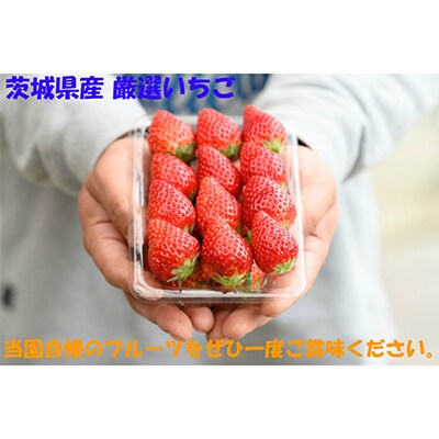 【発送月固定定期便】桧山FRUITFARM 定期コース 4パック×全3回
