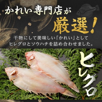 【かれい専門店】こだわりの干かれい充実セット