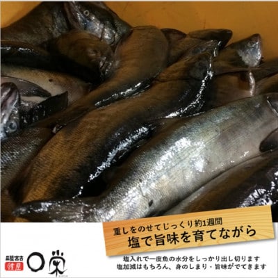三陸の伝統的な製法でつくる寒風干し鮭 切身セット (150g×8パック)