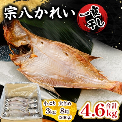 一夜干し宗八かれい4.6kgセット