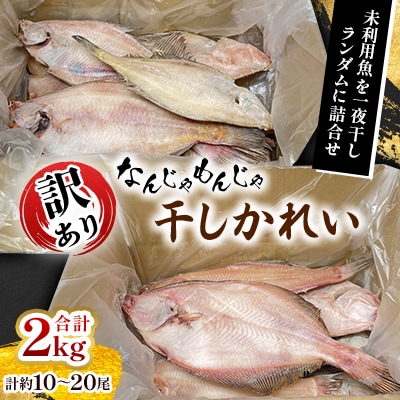 なんじゃもんじゃ訳あり未利用魚かれい　2kgセット