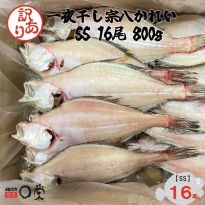 【訳あり】一夜干しかれい 宗八 SSサイズ16尾