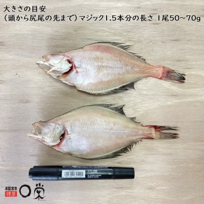 【訳あり】一夜干しかれい 宗八 SSサイズ16尾