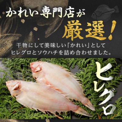【毎月定期便】【かれい専門店】こだわりの干かれい充実セット全3回