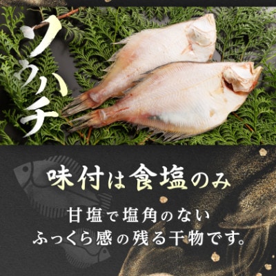 【毎月定期便】【かれい専門店】こだわりの干かれい充実セット全3回