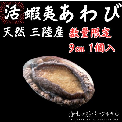 【先行予約(12月発送)】岩手県より獲れたて鮮魚直送便 【活蝦夷アワビ150g×1個】