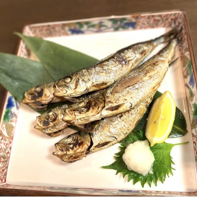 【岩手三陸・宮古港水揚げ】海の幸をおあげんせ干物【4種】