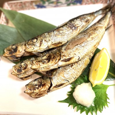 【岩手三陸・宮古港水揚げ】干物漬魚セット(2) 海の幸をおあげんせ干物【6種】・漬魚【3種】