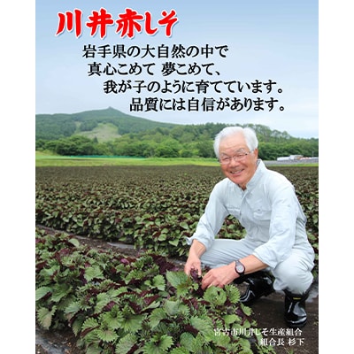 川井ペリーラ飲料 720ml×12本