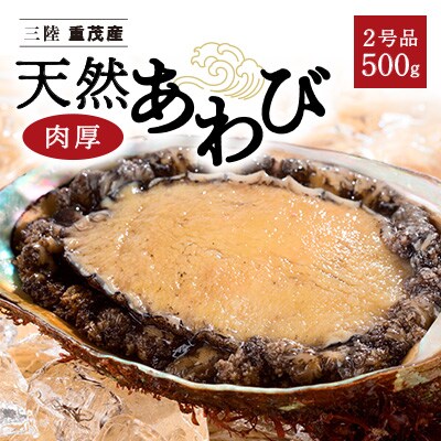 【三陸重茂産】天然あわび(2号品)500g(冷凍)