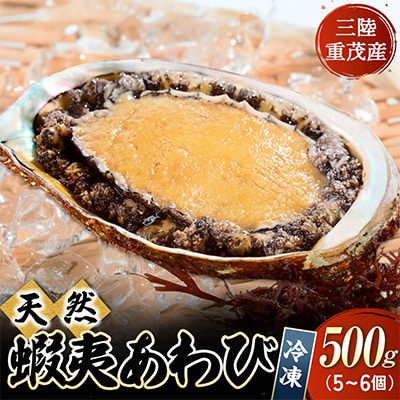 先行予約】三陸重茂産 天然 蝦夷あわび(2号品)500g(冷凍) | 岩手県宮古