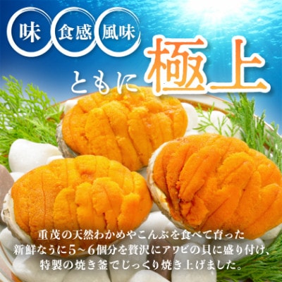 高級珍味「焼うに」2ヶセット