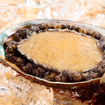 【三陸重茂産】天然　蝦夷あわび(2号品) 1kg(冷凍)