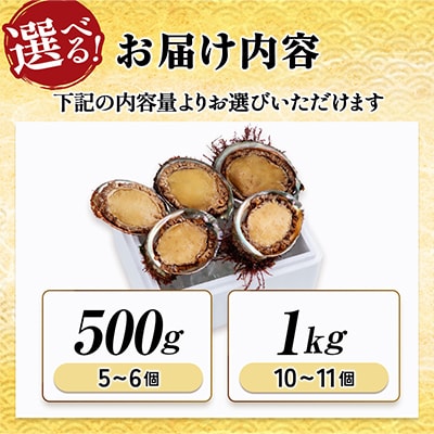 【先行予約】三陸重茂産　天然 蝦夷あわび(2号品) 1kg(冷凍)