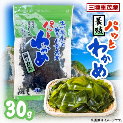 【三陸重茂産わかめ】養殖パッとわかめ 30g