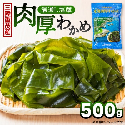 【毎月定期便】【三陸重茂産わかめ】湯通し塩蔵　肉厚わかめ　500g全3回