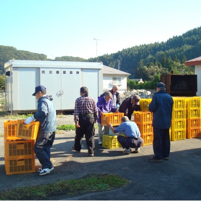 みやこ山ぶどうワイン壱穂゜