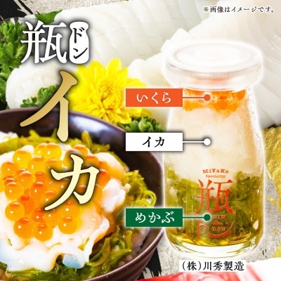 瓶ドン イカ 1本 ぶっかけ海鮮丼の具 1袋 計2食セット