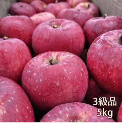 【訳あり品】りんご(ふじ)(3級品)5kg