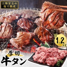 【2023年7月上旬発送】三陸宮古の塩を使用した熟成牛タンスライス味付け1.2kg(200g×6)