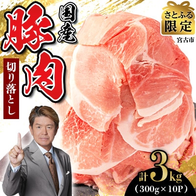 【さとふる限定】国産 豚肉 切り落とし 計3kg(300g×10P) 小分けで便利!真空パック