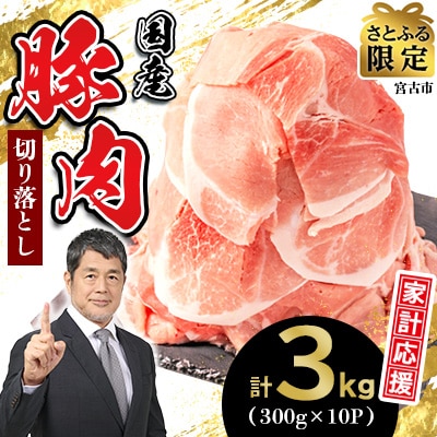家計応援!国産 豚肉 計3kg!(300g×10P) 豚 切り落とし 小分けで便利 【さとふる限定】