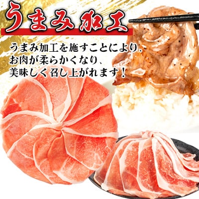 家計応援!国産 豚肉 計3kg!(300g×10P) 切り落とし 小分けで便利 【さとふる限定】