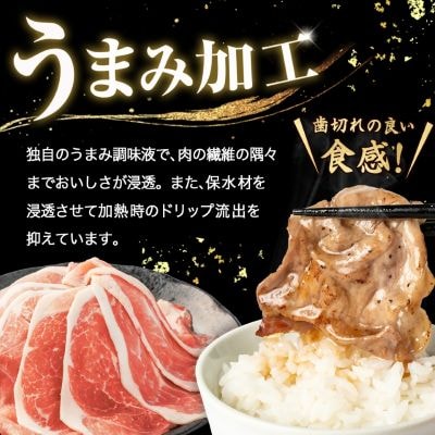 家計応援!国産 豚肉 計3kg!(300g×10P) 豚 切り落とし 小分けで便利