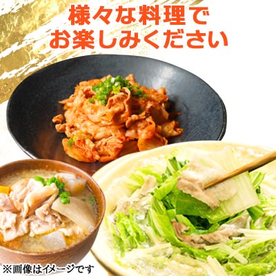 家計応援!国産 豚肉 計3kg!(300g×10P) 切り落とし 小分けで便利 【さとふる限定】