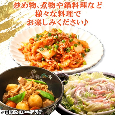 家計応援!国産 豚肉 計3kg!(300g×10P) 切り落とし 小分けで便利 【さとふる限定】