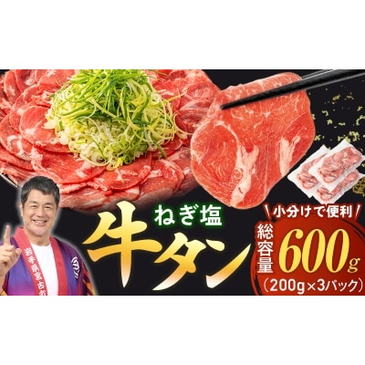 【訳あり】宮古のねぎ塩牛タン 600g 成型肉