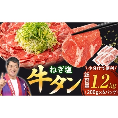 【訳あり】宮古のねぎ塩牛タン 1.2kg 成型肉