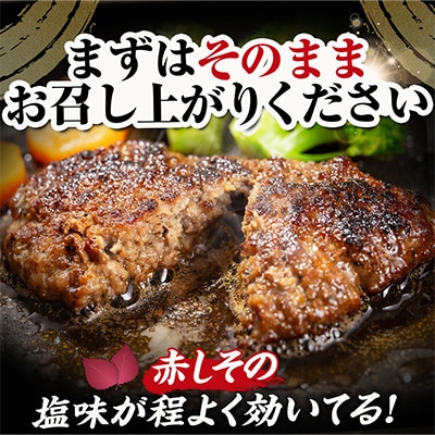 【訳あり】赤しそハンバーグ1.2kg　国GI認証「川井赤しそ」