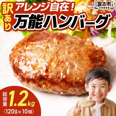 【訳あり】万能ハンバーグ1.2kg(120g×10個)　冷凍のまま10分で焼ける