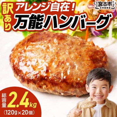 【訳あり】万能ハンバーグ2.4kg(120g×20個)　冷凍のまま10分で焼ける