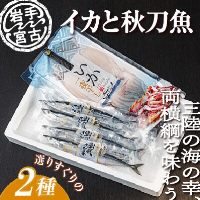 いか一夜干し1p・潮風さんま4本 2種セット