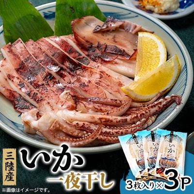 イカ一夜干し3枚入×3p
