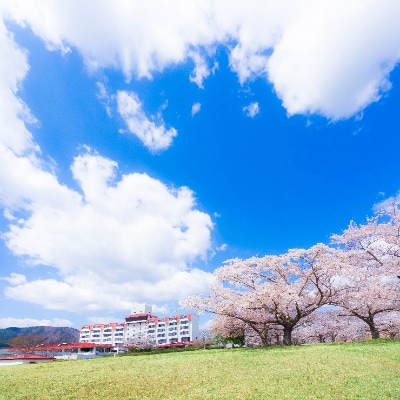 グリーンピア三陸みやこ　ペア宿泊券