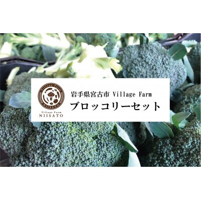 【大量!5kg!】ブロッコリーセット