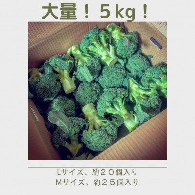 【大量!5kg!】ブロッコリーセット