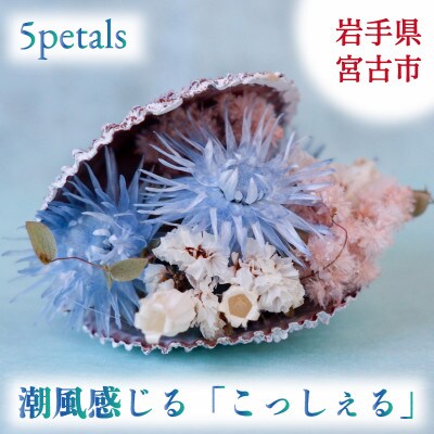 【宮古市】5petals 「こっしぇる」